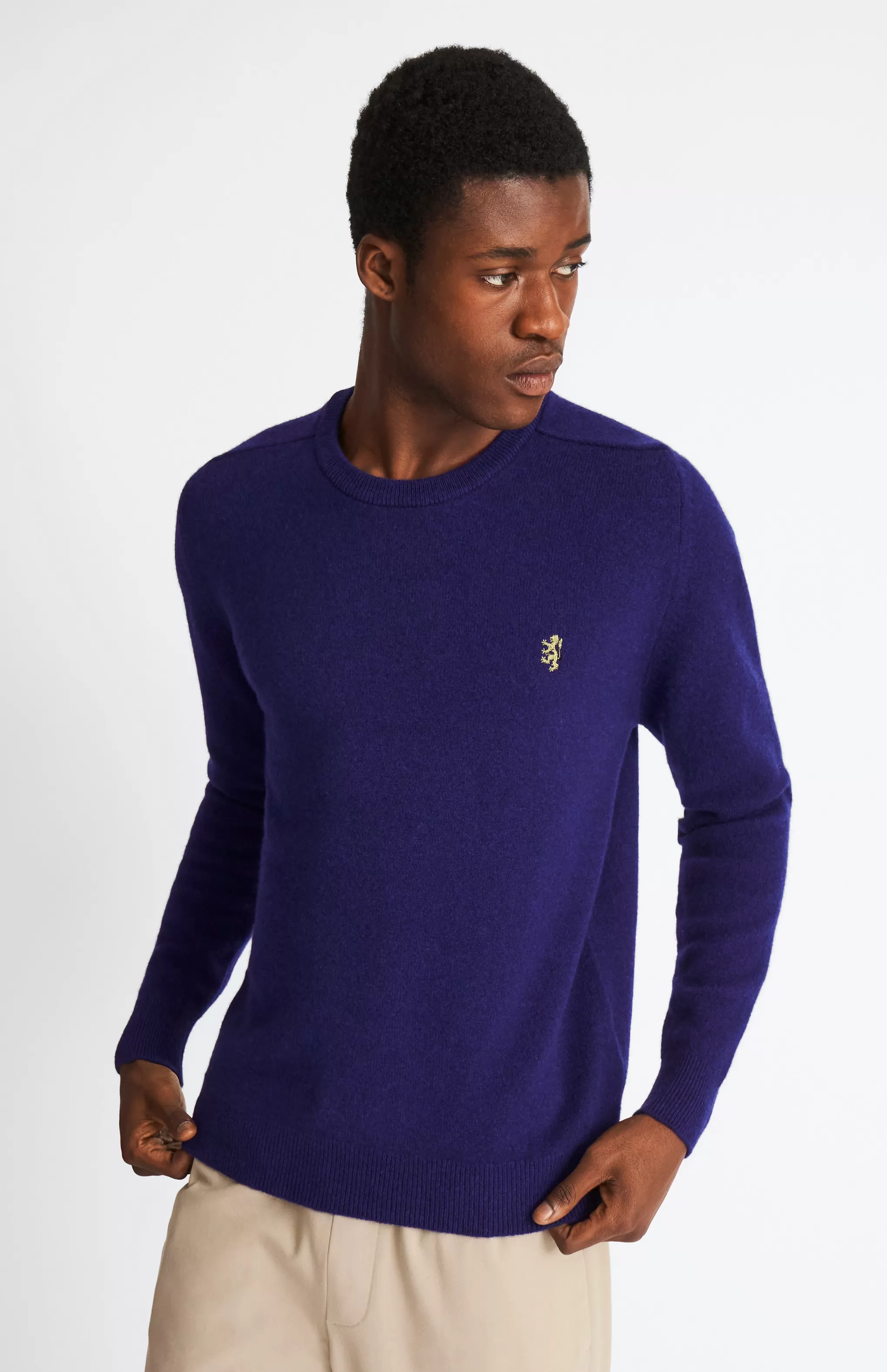 Best Round Neck Lion Lambswool Jumper In Royal Blue / Mineral Green Men Jumpers